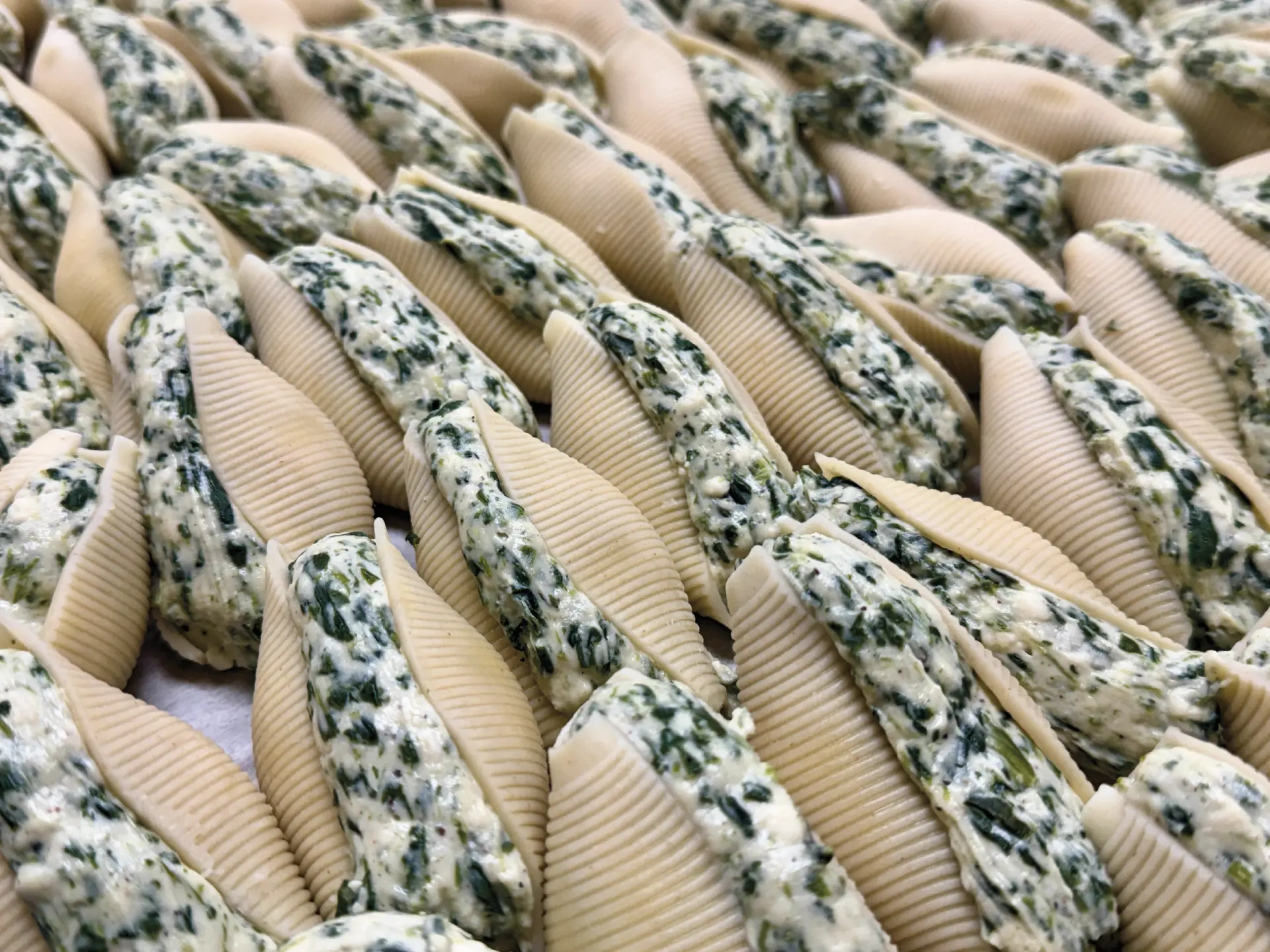 Fresh stuffed shells filled with spinach and ricotta